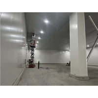 Contenedor Congelador Industrial de 10FT 20FT para Almacenamiento en Frío de Carne, Verduras, Motores y Rodamientos para Compresores
