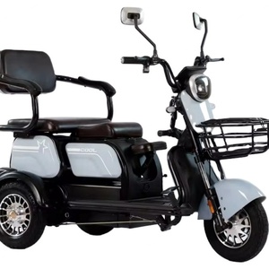 Triciclo Eléctrico de 800W con Motor de 48v, Certificado EEC para Adultos, Tipo de Carrocería Cerrada y Abierta para Pasajeros y Carga, Scooter de Movilidad - Product Image 1