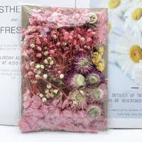 Natürlich Konservierte Gepresste Getrocknete Blumen und Pflanzen für Gemischte Packungen, Handwerk, Aromatherapie, Kerzen, Epoxidharz DIY-Zubehör