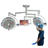 Lampe d'opération vétérinaire à LED de plafond homologuée CE, système de caméra, lampe de salle d'opération, fabricant de lampes chirurgicales à LED