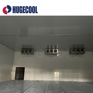 Cámara Frigorífica, Cuarto Frío, Congelador <span class=keywords><strong>para</strong></span> Supermercado, Carnicería - Product Image 3