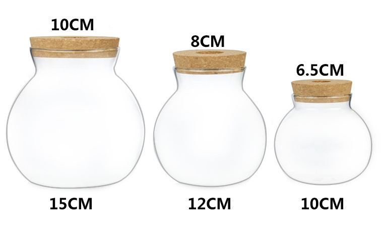 Ronda-Contacto Sales