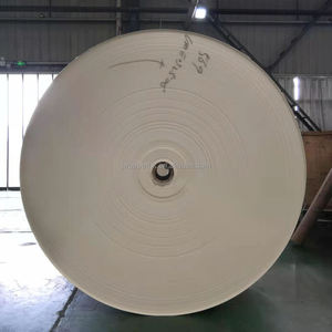 Rollo de Papel Recubierto de PE, Pulpa de Madera, Material Impermeable para Vasos de Café, 210gsm 260gsm, Alto Volumen - Product Image 3