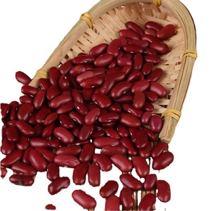 Nouveau haricot rouge chinois en poudre, petits haricots rouges - Product Image 4