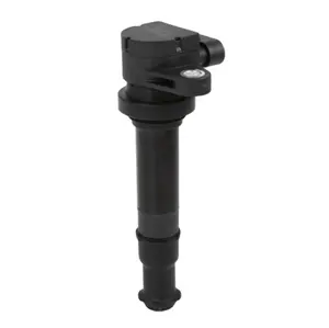 Ignition Coil 1721012900 17210-12900 für Ssangyong SM5