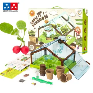 Zhengguang Mini Planting Sunroom Children's Plant Observation Window Seed Box Seed Growth Record Box Education Toy