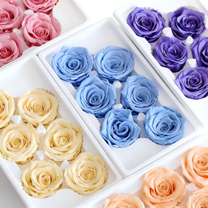 Rosas <span class=keywords><strong>Preservadas</strong></span> a Precio de Fábrica, 5-6cm, Grado B, Cabeza de Rosa Natural Eterna para Decoración de Bodas, Día de la Madre - Product Image 1