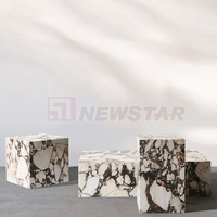 Newstar Pierre Rectangulaire Italien Marbre De Luxe Décor À La Maison Violet Calacatta Viola Marbre Plinthe Table Basse