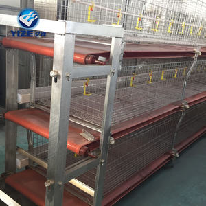 Gabbia per polli da carne di Design di bellezza per attrezzatura per bestiame da allevamento di polli Kenya Farm 200 - Product Image 4