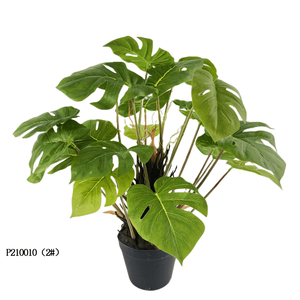 Senmasine stili multipli 60cm 21 testa palma artificiale/sempreverde/Monstera Deliciosa/Pothos lascia piccola fabbrica di piante finte - Product Image 1