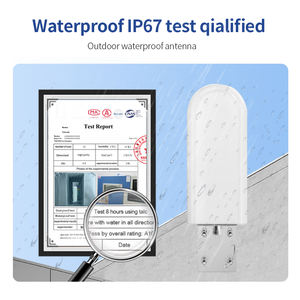 Outdoor High Gian 20Dbi cilindro Dual Antenna 4G 5G connettore SMA Mimo Smart Antenna con SMA maschio - Product Image 5