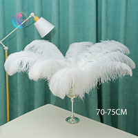 Plumes d'autruche stérilisées et teintes de 70-75 cm (couleur personnalisée) HKFeathers pour mariages, carnavals, festivals naturels - Cadeau directement de l'usine