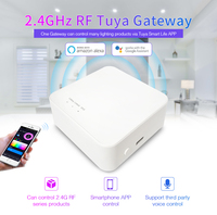 Passerelle intelligente sans fil 2.4G WIFI Box Support Tuya app Alexa Google Assistant