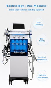 Máquina de Belleza Estética 14 en 1 para Mujer, con Pantalla Táctil, Compatible con EE. UU., Limpieza Profunda de la Piel, Uso Comercial - Product Image 6