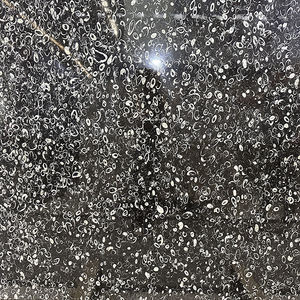 Solución de Mármol Natural Negro Pulido de Alta Calidad Perfect Stone, Losa Grande, Diseño Moderno, Uso Interior/Exterior, Garantía de por Vida - Product Image 5