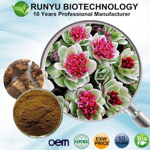 Здоровая добавка, чистый натуральный порошок росавина, 3% 10%, экстракт салидрозиды родиолы розы - Product Image 2