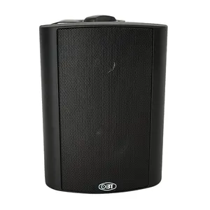 System Audio Mobile Speaker Levitating Grill Church Party Speaker Amplifier Price Wall Speaker