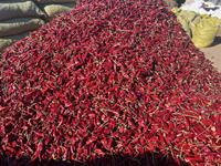 Piment rouge entier séché et coupé, épicé, naturel, traceable, 20 kg, provenance Malaisie, Thaïlande, Pakistan