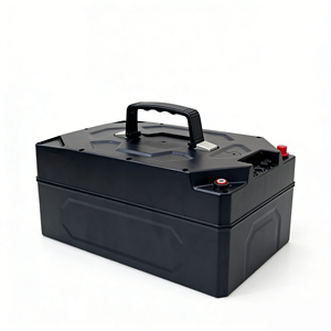 Lange levensduur 48V 30Ah LiFePO4 batterijpakket voor <span class=keywords><strong>2</strong></span>-wiel/<span class=keywords><strong>3</strong></span>-wiel elektrische voertuigen - Product Image 4