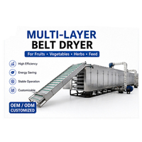 Hoge kwaliteit dehydrator machine fruittransportband hetelucht zeevist droogmachine groente voor gaasbanddroger