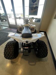 รถเอทีวี Renegade 110 EFI รุ่นใหม่ ปี 2026 ทรงพลัง พร้อมระบบขับเคลื่อนเพลาอัตโนมัติ - Product Image 2
