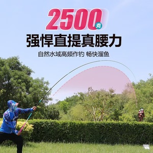 Canne à pêche télescopique Vix Ice Blue Pink en carbone, action moyenne rapide, pour la pêche à la carpe en réservoir et en étang - Product Image 4