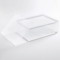 Boîte d'élevage pour reptiles en acrylique Boîte à reptiles en plexiglas Cage acrylique pour animaux de compagnie Sauter Araignée Tarentule