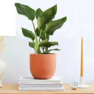 Decoración nórdica moderna para el hogar, bonsái de interior, cemento mate redondo, cerámica personalizada, pequeñas plantas blancas, macetas para flores suculentas