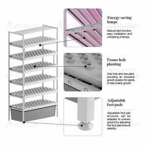 גדול פנימי hydroponics אנכי מקורה מדף צמח צמח cea עבור ירקות פירות עלים ירוקים גיליון חממות מחשב לגדול - Product Image 4