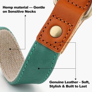 <span class=keywords><strong>Collar</strong></span> para Perro de Cuero Genuino Nibao, Ajustable y Resistente, con Hebilla Metálica de Liberación Rápida, Suave y Elegante - Product Image 4