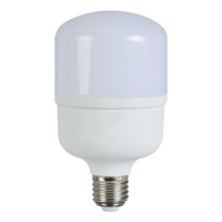 Ampoule LED T80 d'intérieur avec culot E27/B22 20W SMD2835 Boîtier blanc Design spécial