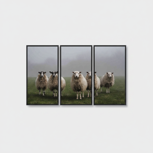 Farmhouse <b>Black</b> <b>Framed</b> Canvas: Printed Sheep Photo Art,SET OF 3 CANVAS - Product Image 2