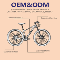 Vélo de route gravel 700C léger avec cadre en aluminium, 14/21 vitesses, freins à disque, pour la course