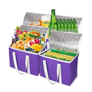 Bán Buôn Công Suất Lớn Tái Sử Dụng Túi Lạnh Có Thể Gập Lại Không Dệt Nhiệt Cách Điện Tùy Chỉnh In Tái Sử Dụng Lớn Túi Lạnh - Product Image 1