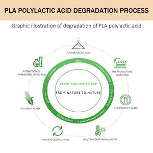 Gobelets en plastique biodégradable PLA de 12 oz, 15 oz et 20 oz, imprimés avec un logo personnalisé, réutilisables pour boire du café - Product Image 4