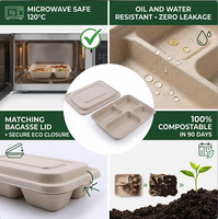 Gezonde Portie 4-Vaks Eco-vriendelijke 32 oz Suikerriet Bagasse Gedeelde Voedselcontainer voor Bento Box Schoolkantine