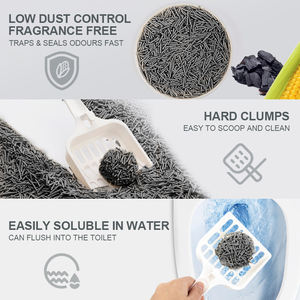 Pabrik OEM Premium gumpalan kuat tanaman kucing pasir Eco Clean 2mm bentuk garis karbon aktif kontrol bau tahu sampah kucing - Product Image 2