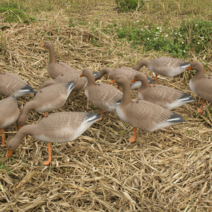 Multi-Pose Collapsible Floating Standing Waterfowl Decor Plastic Realistic Lightweight Landscape Goose Ornaments <b>Hunting</b> <b>Decoy</b> - Product Image 6