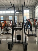 Tour de musculation multifonctionnelle professionnelle avec barre de traction et station de dips pour entraînement de force
