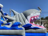 Toboggan aquatique gonflable géant de qualité commerciale pour enfants et adultes, idéal pour les aires de jeux extérieures - Prix de gros