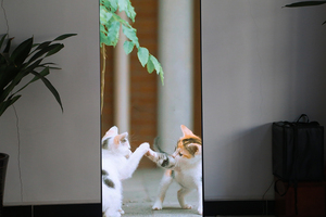 P1.86 P2 P2.5 Portable Foldable Indoor LED <strong>Display</strong> <strong>Board</strong> Video Wall HDR10+ 1000cd Brightness 3-Year Warranty for Poster Banner - Product Image 2