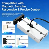 Cylindre pneumatique à double tige série TN, actionneur linéaire compact à double arbre TN16 TN20 pour équipement d'automatisation