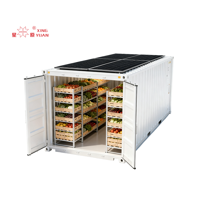 Cold Storage Solar Powered Room Low