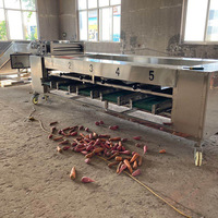 Calibrateur Machine à trier les fruits et légumes Tomate Ail Piment Oignon Carotte Concombre Champignon Trieuse