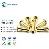 Pasokan Pabrik Paku Keling Setengah Berongga Kuningan 3mm 4mm 5mm 6mm 8mm Standar ISO Aplikasi Pengikatan Industri Merek SaiTong