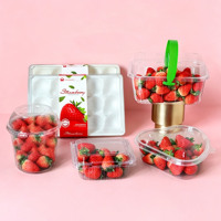 Conteneurs en plastique pour fruits en gros, boîte d'emballage transparente en PET pour fraises, pour fruits frais