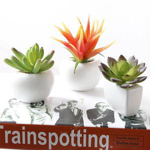 V153 Commercio All'ingrosso Mini Artifiaicl Succulente Piante Faxu di Vetro In Vaso <span class=keywords><strong>Pianta</strong></span> Verde Per Desktop di Decorazione Della Casa Decor - Product Image 6