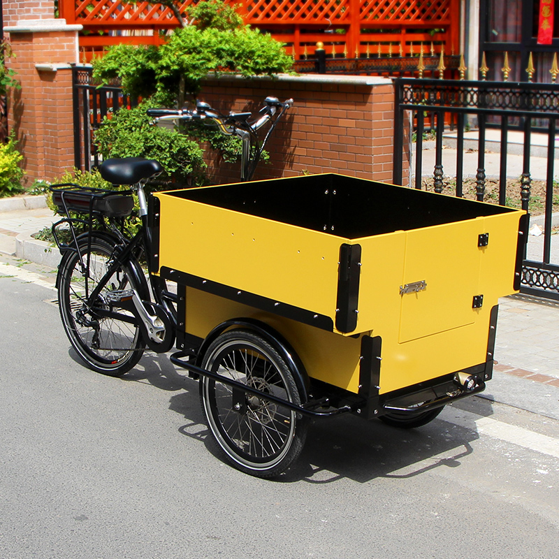 オランダの電気大人の三輪車3輪カーゴバイクスチール自転車
