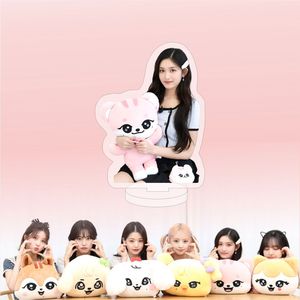 Standee Acrílico Transparente de IVE POP-UP MINIVE WONYOUNG, Ídolo de KPOP, Diseño de Dibujos Animados - Product Image 3