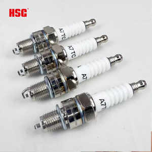 Bujías de repuesto para motocicleta HSG profesional D8TC níquel <span class=keywords><strong>CR8EIX</strong></span> B8RTC B9TC A7TC bujía - Product Image 2